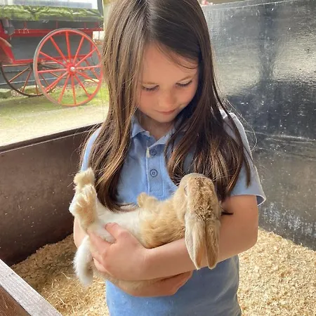 Muckross Riding Stables キラーニー