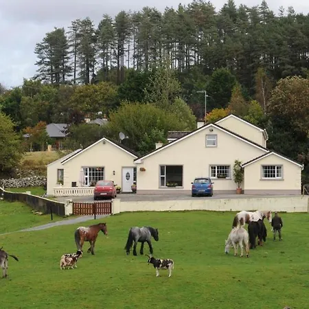 Farm stay Muckross Riding Stables