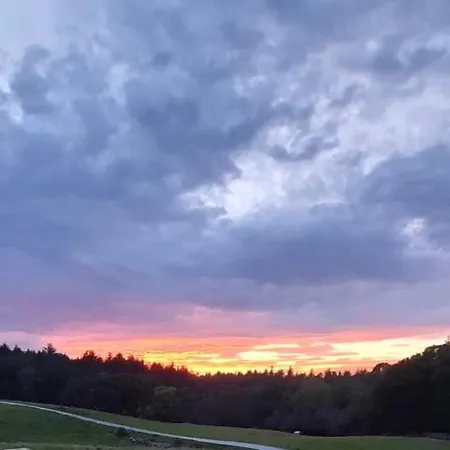Muckross Riding Stables キラーニー