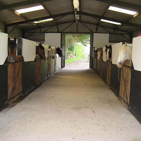 麦克劳斯骑马场农家乐