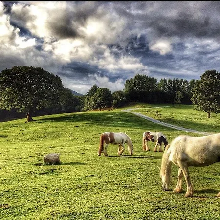 Farm stay Muckross Riding Stables