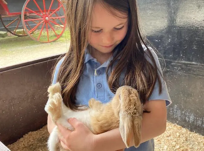 Muckross Riding Stables Килларни