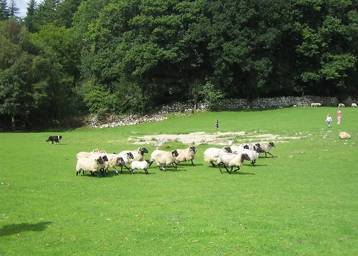 Muckross Riding Stables Килларни