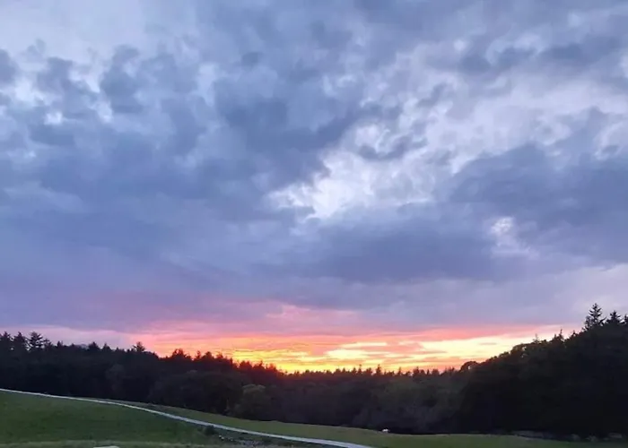 Muckross Riding Stables Килларни