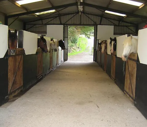 Muckross Riding Stables