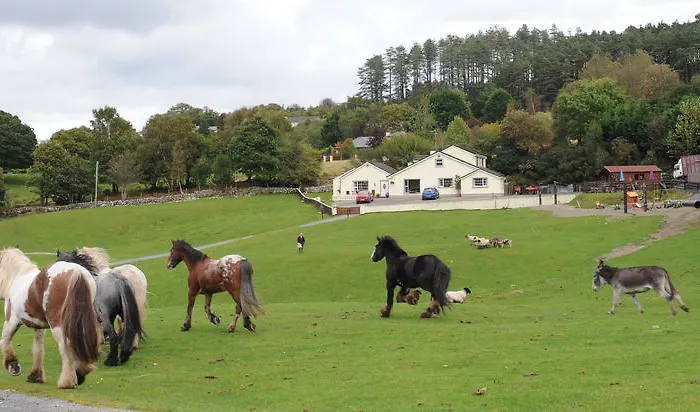 Muckross Riding Stables Killarney